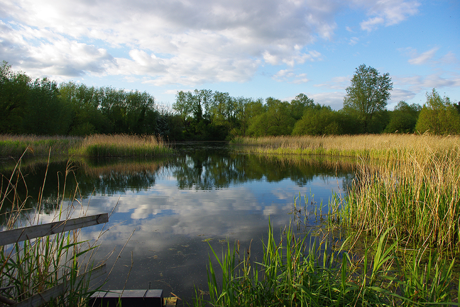 the hell pool magor marsh